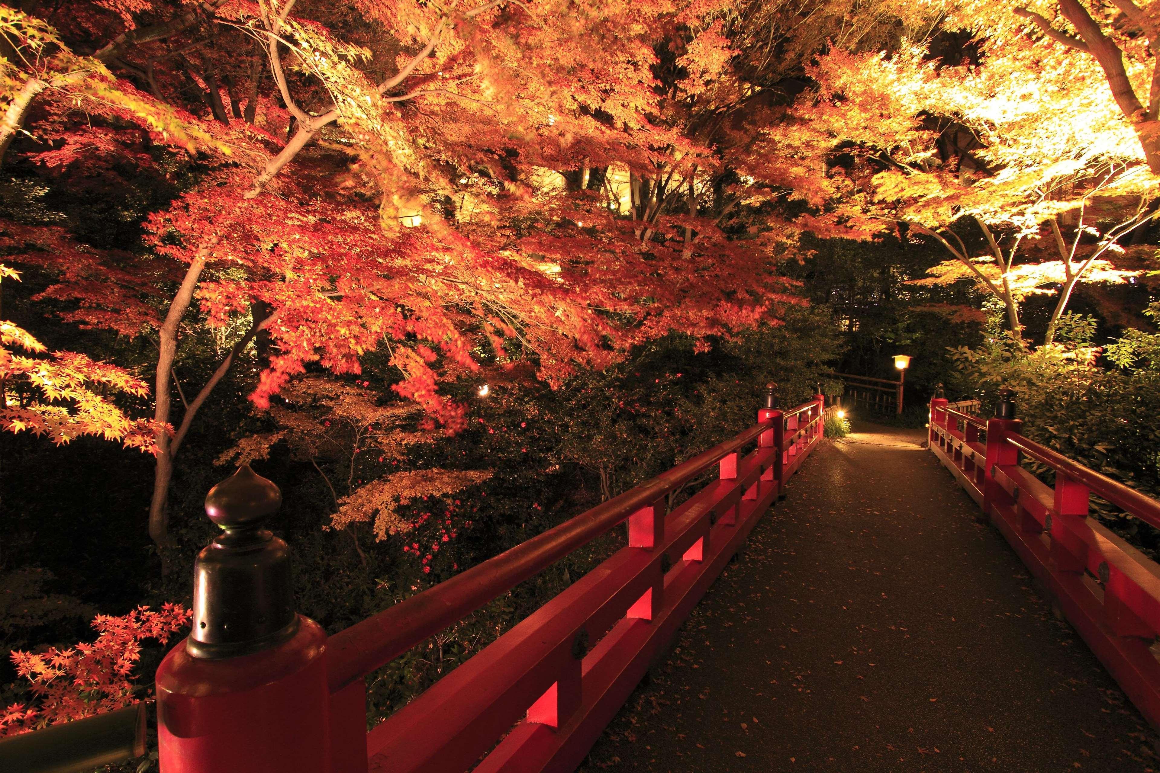 Chinzanso 5* Prefektura Tokio