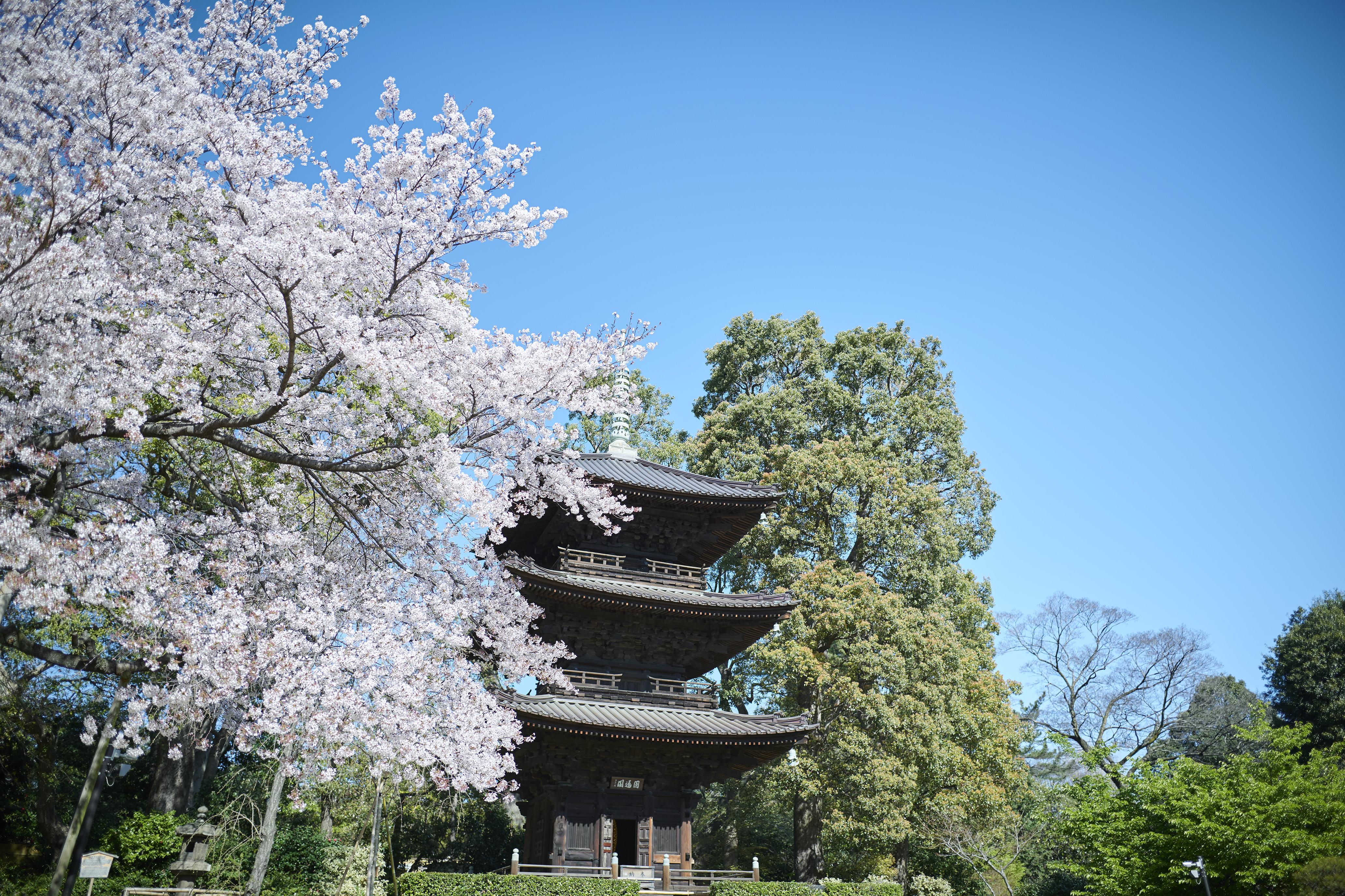 Chinzanso Prefektura Tokio